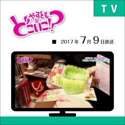 TV:やすともどこいこ2017年7月放送